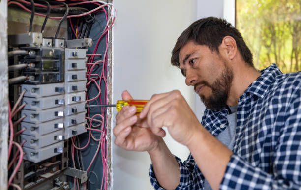 Best Electric Panel Repair  in Peculiar, MO
